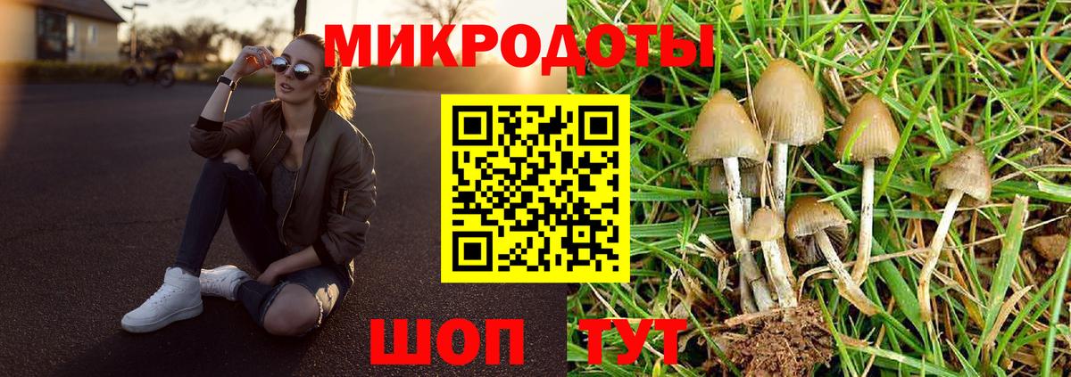 Галлюциногенные грибы мицелий Ставрополь